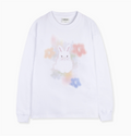 韓國 Ambler Flower In Spring Graphic Long Sleeve【AR174】