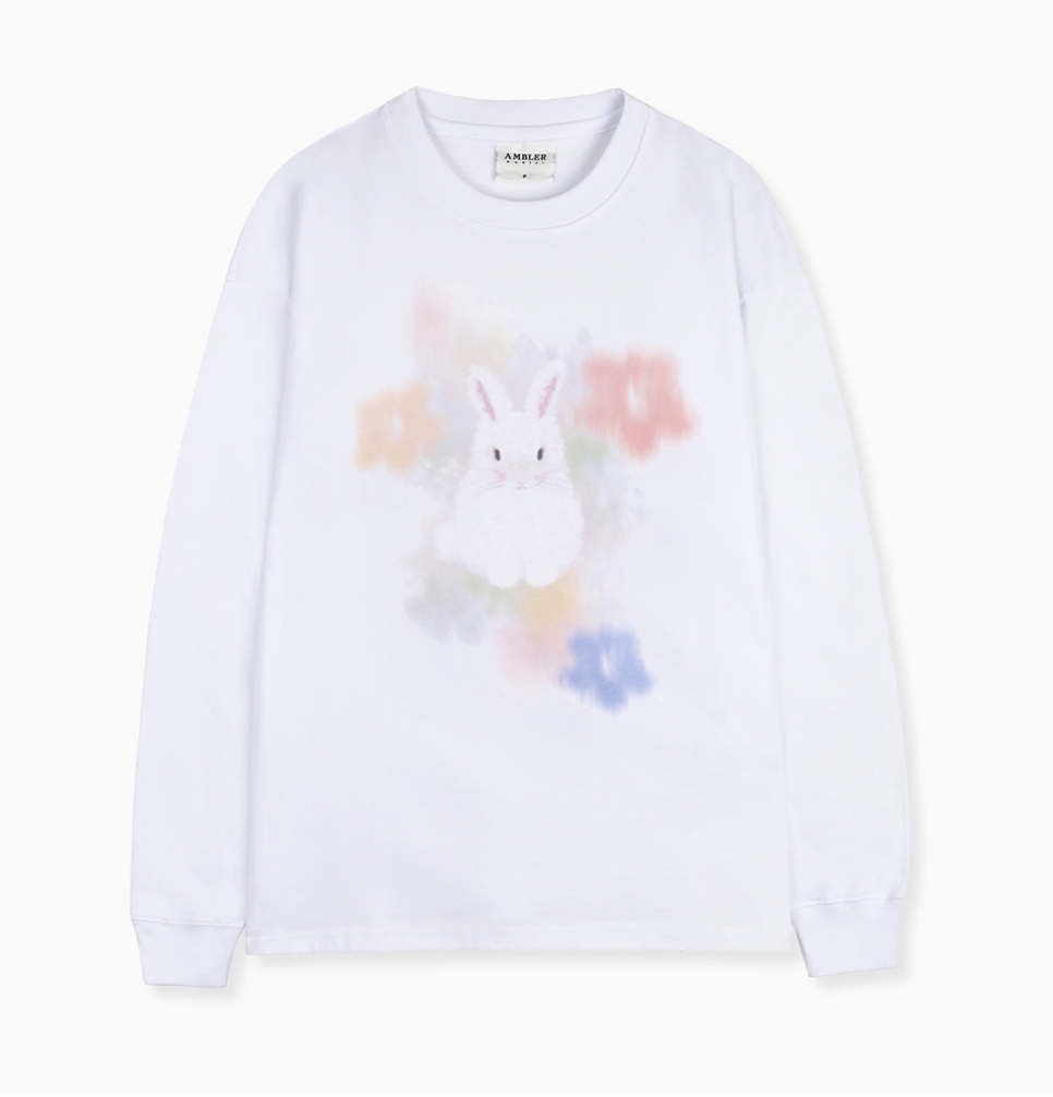 韓國 Ambler Flower In Spring Graphic Long Sleeve【AR174】