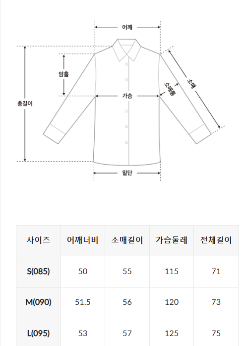 韓國 SPAO See Through Shirt【SP456】