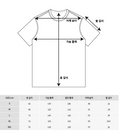 韓國 New Era World Series Ringer T-shirt【NR185】