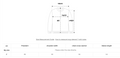 韓國 Wacky Willy T-shirt【WW305】