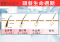 MOOI 密髮森洗髮露 200ml【SM2459】