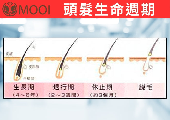 MOOI 密髮森洗髮露 200ml【SM2459】