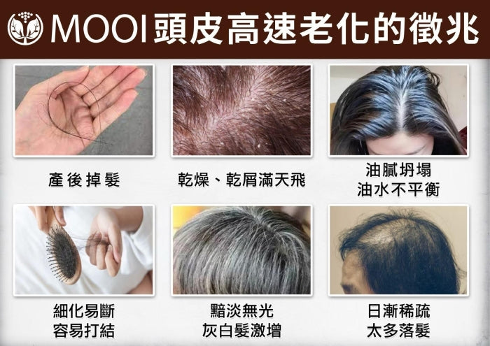 MOOI 咖啡因髮質進化洗髮露 500ml【SM2470】