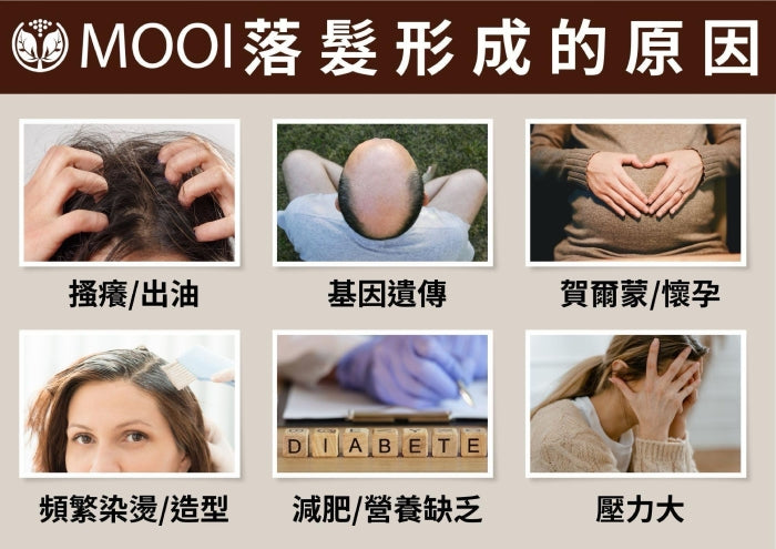 MOOI 咖啡因髮質進化洗髮露 500ml【SM2470】