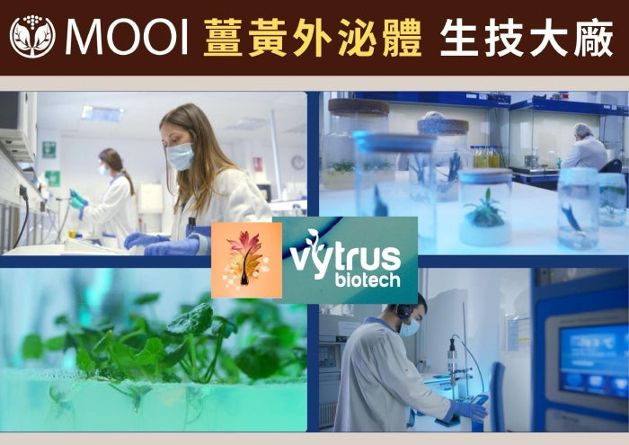 MOOI 咖啡因髮質進化洗髮露 500ml【SM2470】