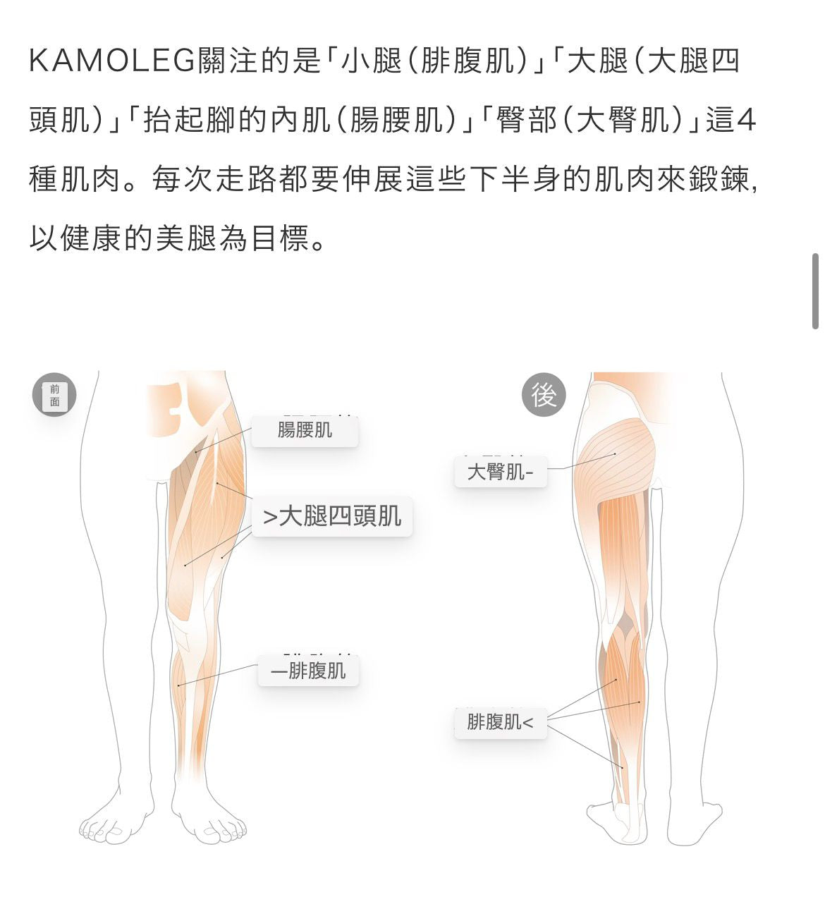 日本 & Medical Kamoleg 2.0 健走拖鞋【SM1962】