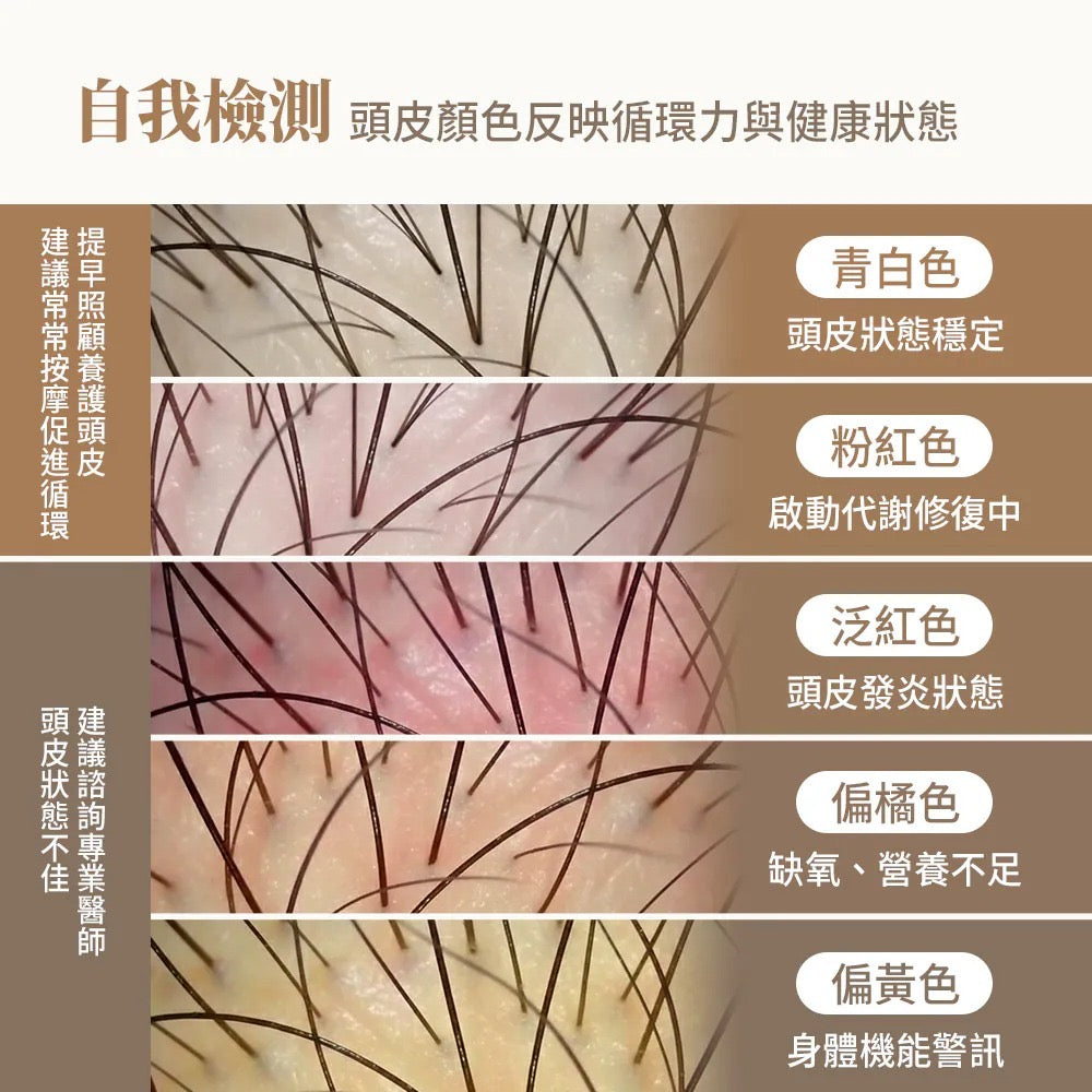 日本製 And-More Glow Care 光波能量梳【SE986】