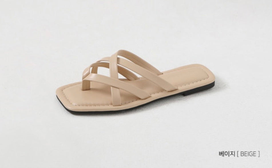 韓國 Chaakan Celloti Strap Slippers【CN026】