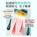 日本JUJY 雙燈管藍寶石冰點極速連閃無痛嫩膚全身家用脫毛儀 PRO 2.0【SM2075】