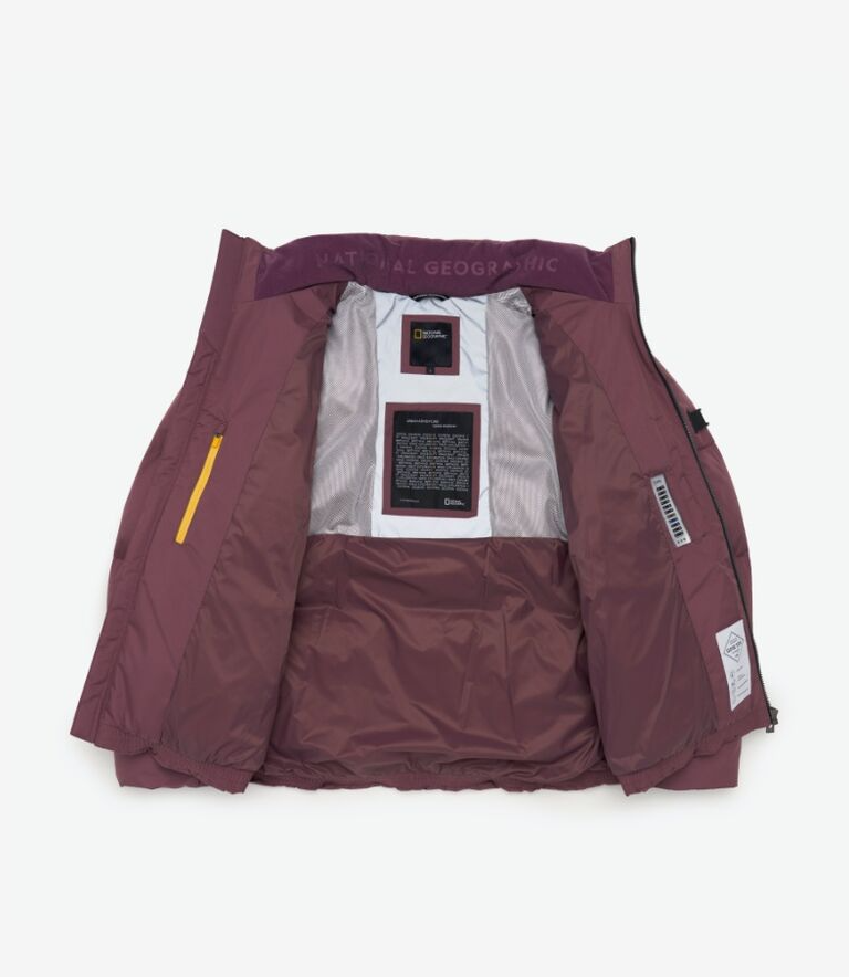 韓國 National Geographic 男女同款 Tollyman Gore-Tex RDS Puffer Duck Down Jumper【NG1130】