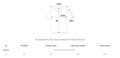 韓國 Wacky Willy Women's Big Lily Vintage Short Sleeve T-shirt【WW234】