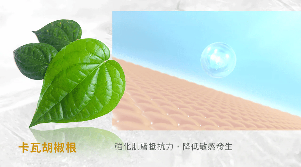 文森先生 淼淼流金霜 50ml【SE1266】